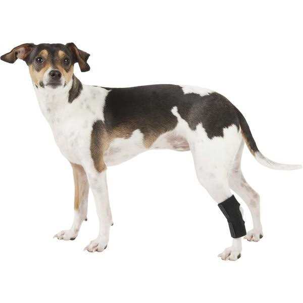 Dog Rear Leg Hock Joint Wrap Brace U4798