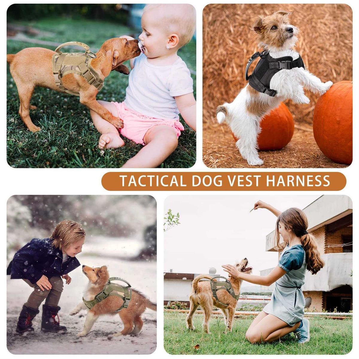 Tactical Dog Harness with Handle and Leash Set T347626