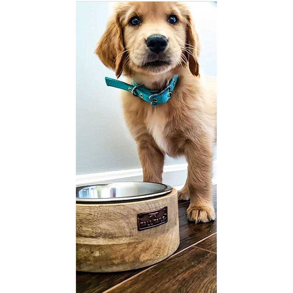 Wood Dog Bowl E3616