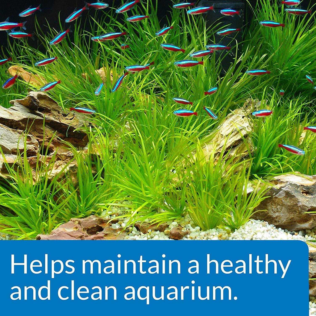 Aquarium Start Up Pack G223598