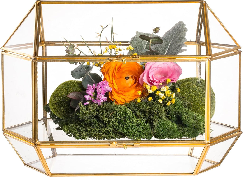 10 Glass Card Box Large Rectangle Shape Gold Terrarium with Foot, Pack of 2 U8329