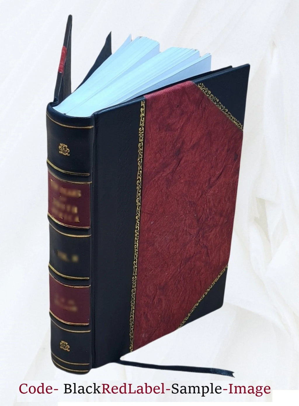 Leather Bound Book J511152