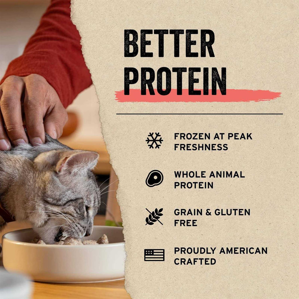 Freeze-Dried Minnows Cat Treats B856
